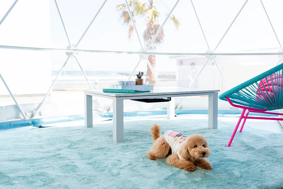 Pet Dome Tent