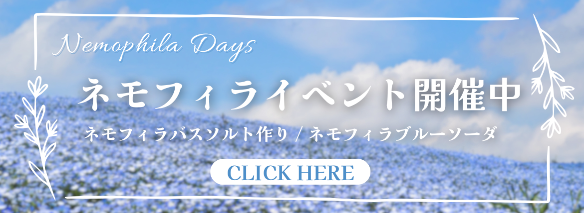 ネモフィライベントのお知らせ