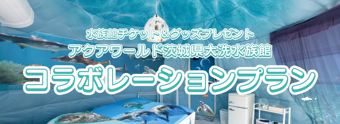 アクアワールド Beach Oaraiコラボレーションプラン