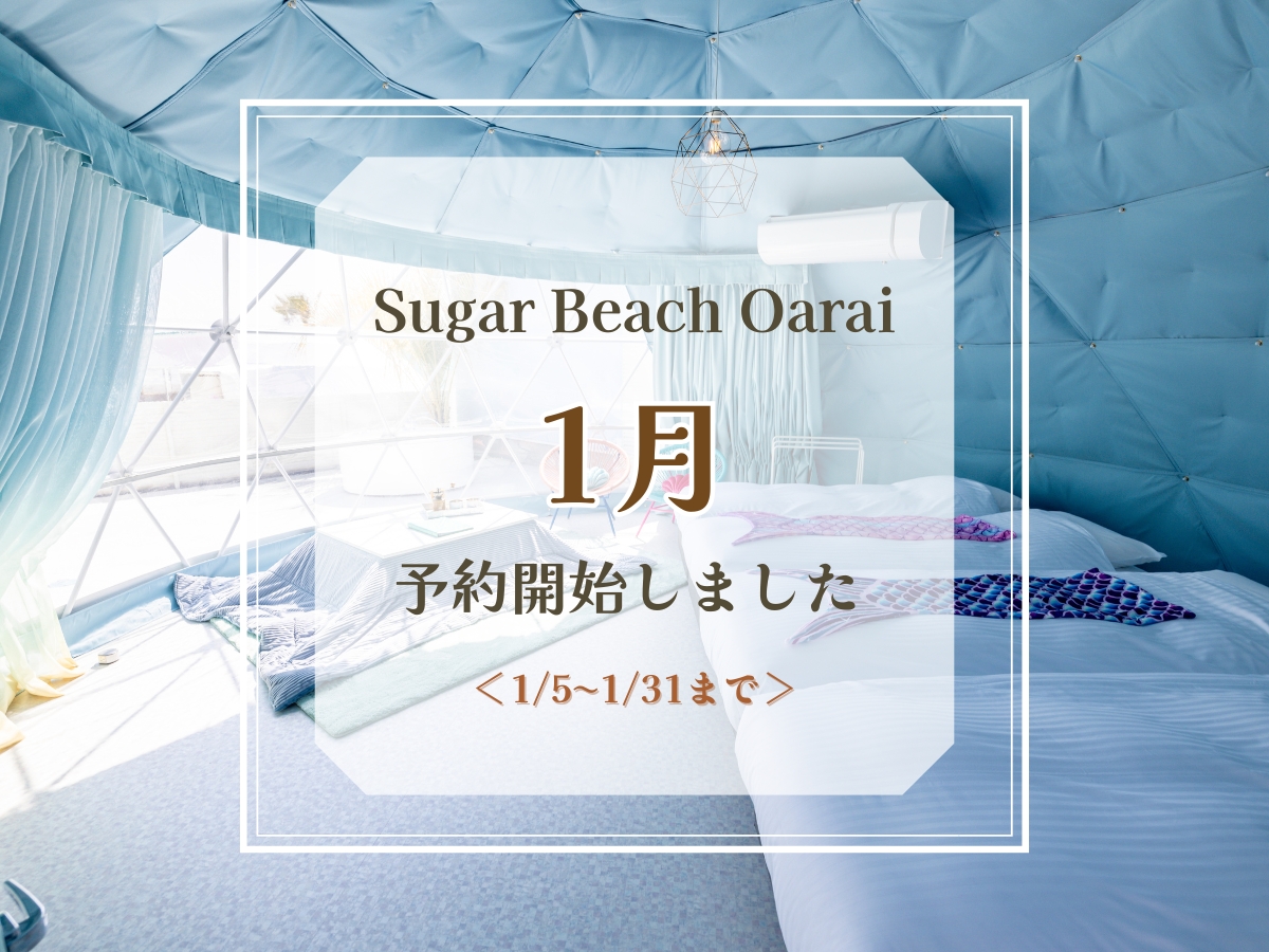 1月予約開始のお知らせ