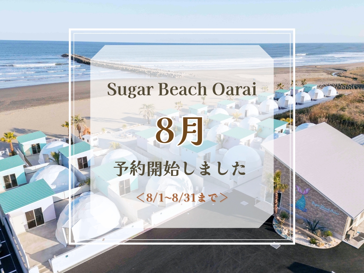 8月予約開始のお知らせ